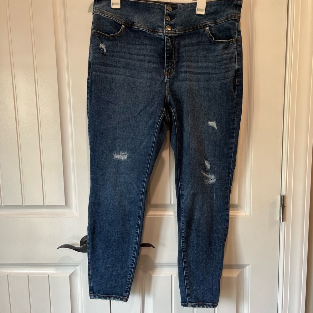 Lane Bryant Flex Magic Waist Skinny Jeans